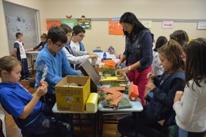 Sete povos das missões - Escola Notre Dame Menino Jesus (1)