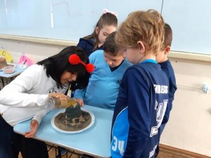 WhatsApp Image 2019-03-21 at 10.49.44 (1) (Copy)