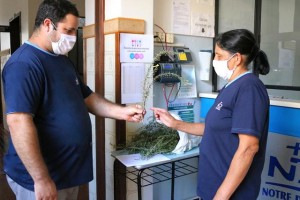 IMG_1991.2 - Copia (Copy)